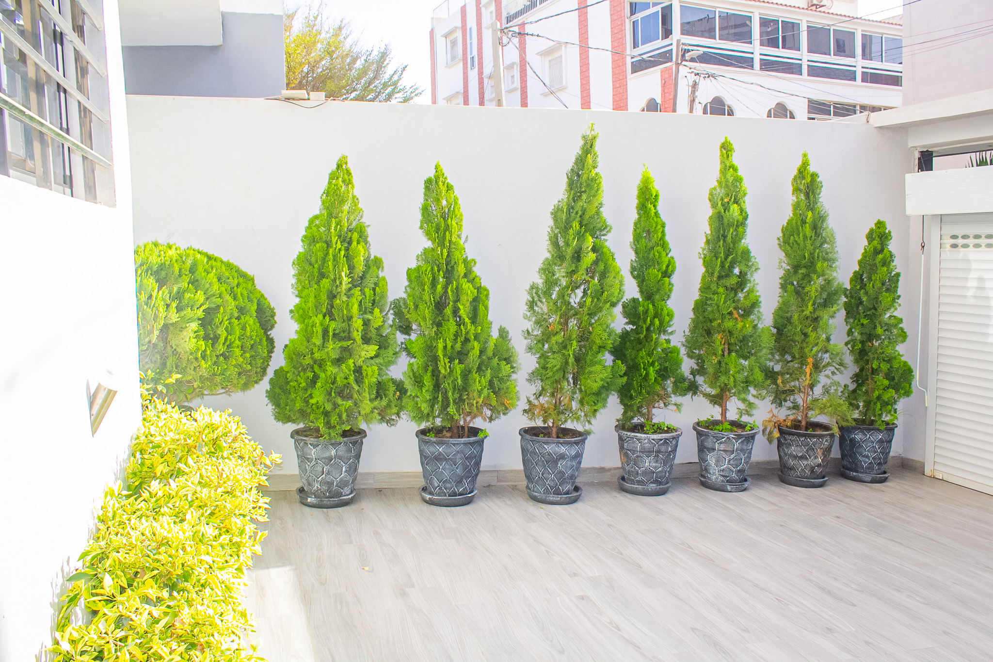 Eden Palace F6 Terrasse